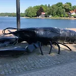 Pod Kasztanami - Bialy Ińsko