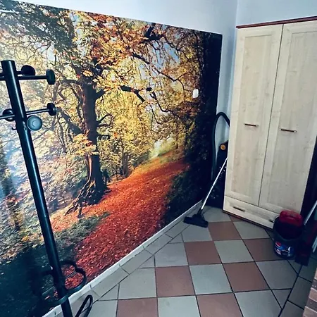 Pod Kasztanami - Biały Apartament *