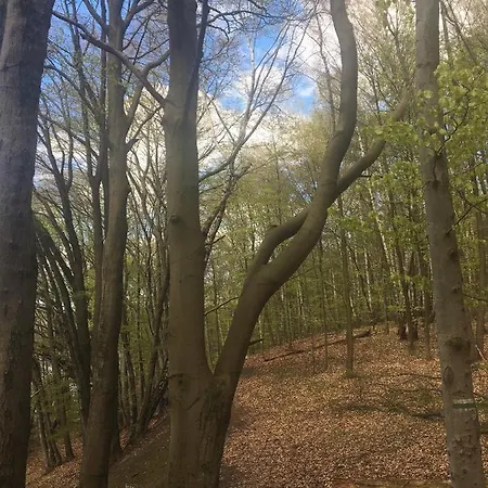 Pod Kasztanami - Biały