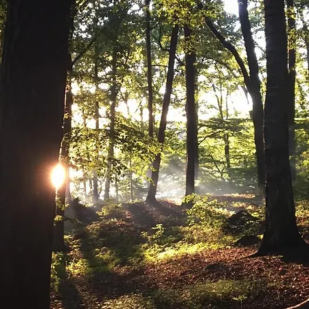 Pod Kasztanami - Bialy Apartmán Ińsko