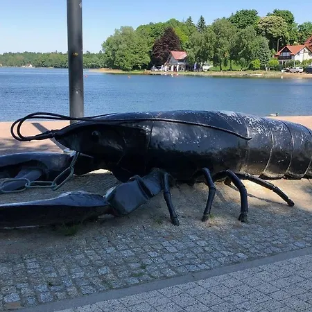 Pod Kasztanami - Biały Ińsko