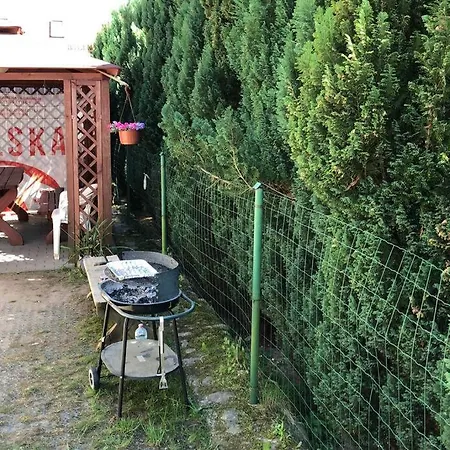 Pod Kasztanami - Biały