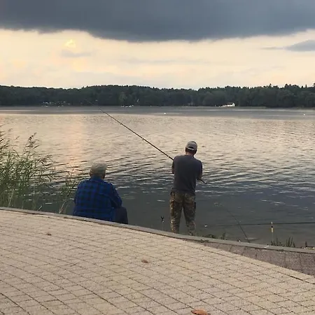 Daire Pod Kasztanami - Bialy *