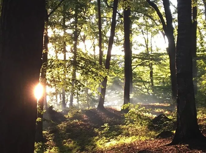 Pod Kasztanami - Bialy Lägenhet Ińsko