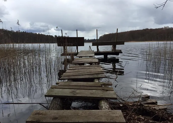 Pod Kasztanami - Bialy