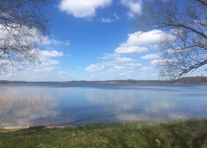 Pod Kasztanami - Bialy * Ińsko