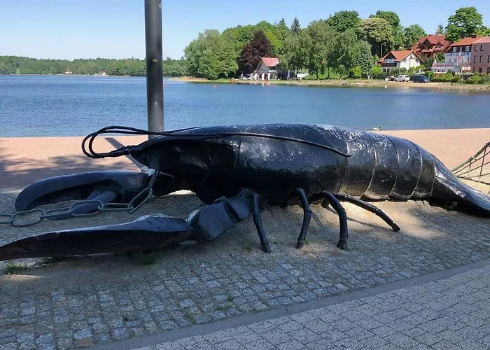 Pod Kasztanami - Bialy Ińsko