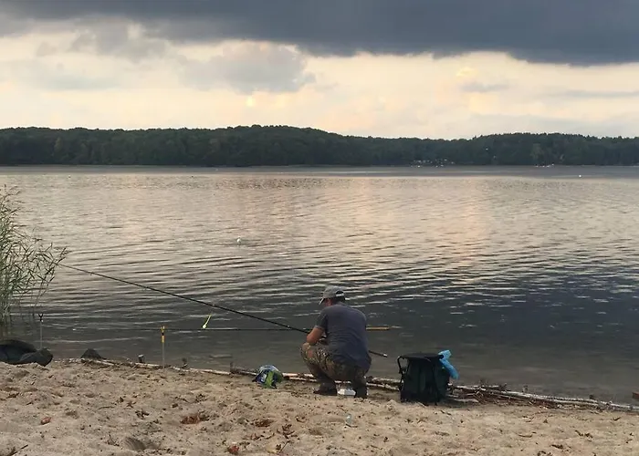 Apartman Pod Kasztanami - Bialy